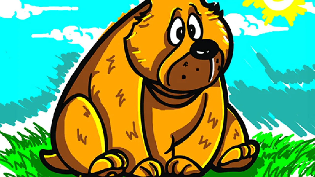 Kolorowanki: Zwierzęta